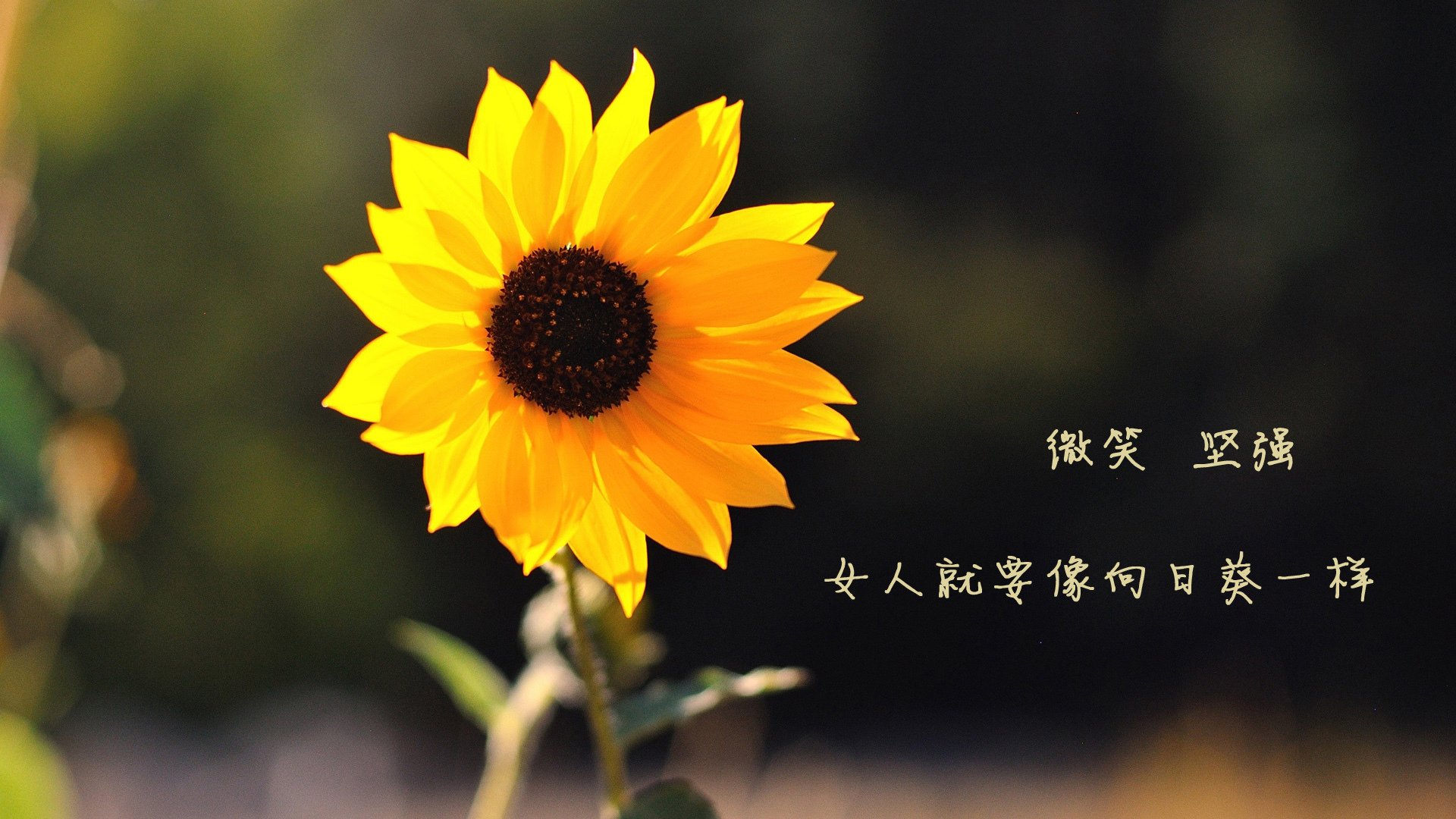 “足球+科技”创新成果在行业内掀起“智慧革命”，足球的创新