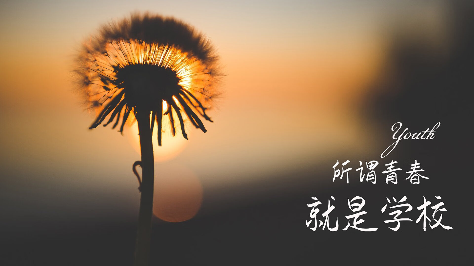 《王者荣耀国际版冠军赛，海外战队挑战LPL强敌》，王者国外比赛