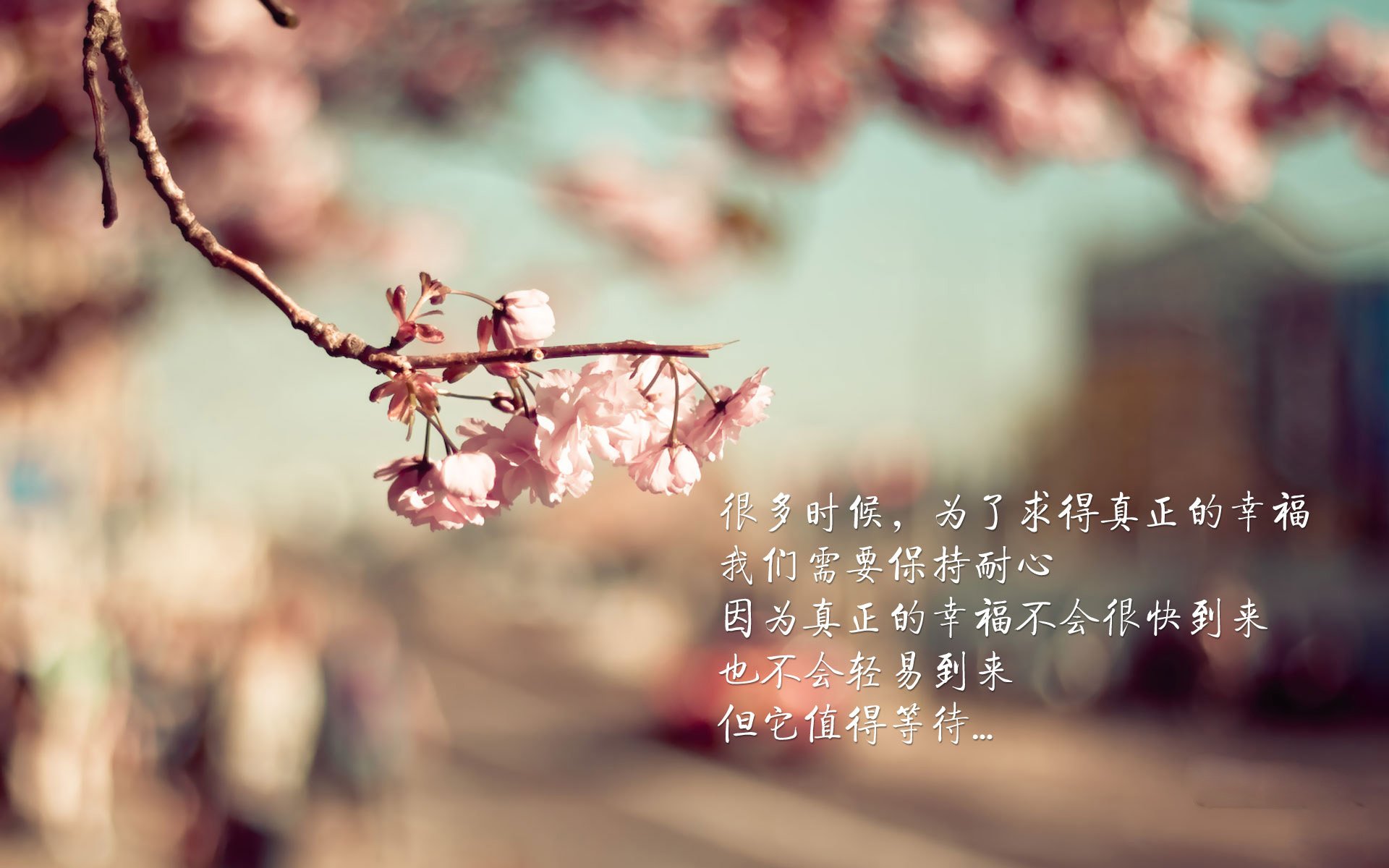数字青训项目“赋能”未来，行业智能化水平持续提升，数字青少年宫登录入口