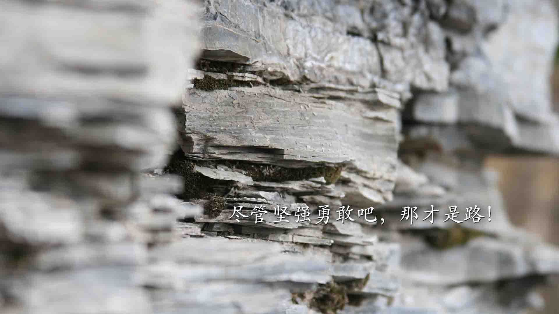 篮球训练视频教学平台普及率提升，篮球训练50集视频教学