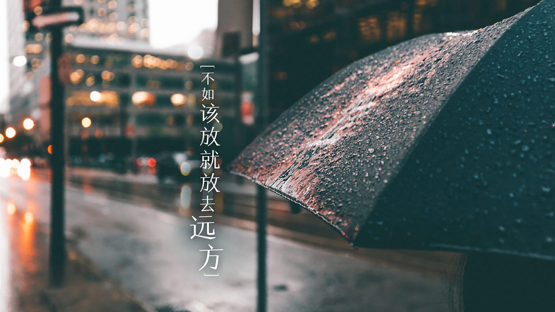 运动员成长档案：从新手到超级巨星的时间线，运动员成长过程