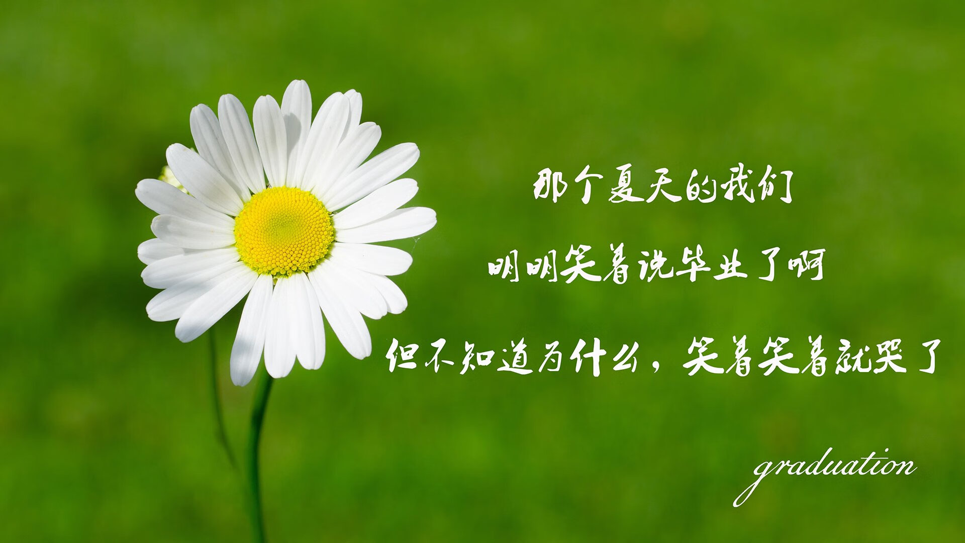 车坛老将：豪斯的坚韧不拔，nba 豪斯