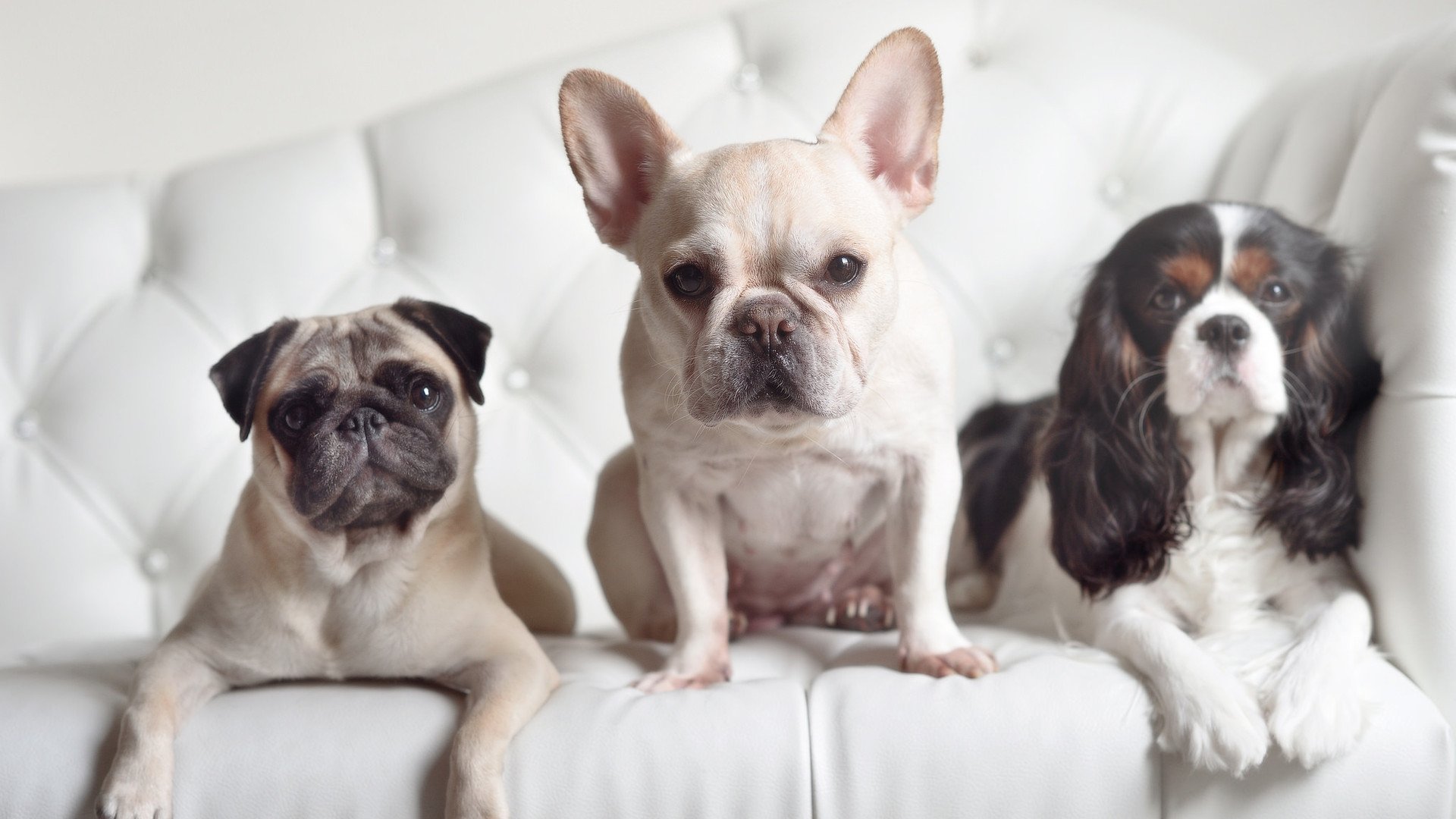 瑞安的防线突破能力，让全黑队的反击更具威胁，2020年瑞安打黑案件