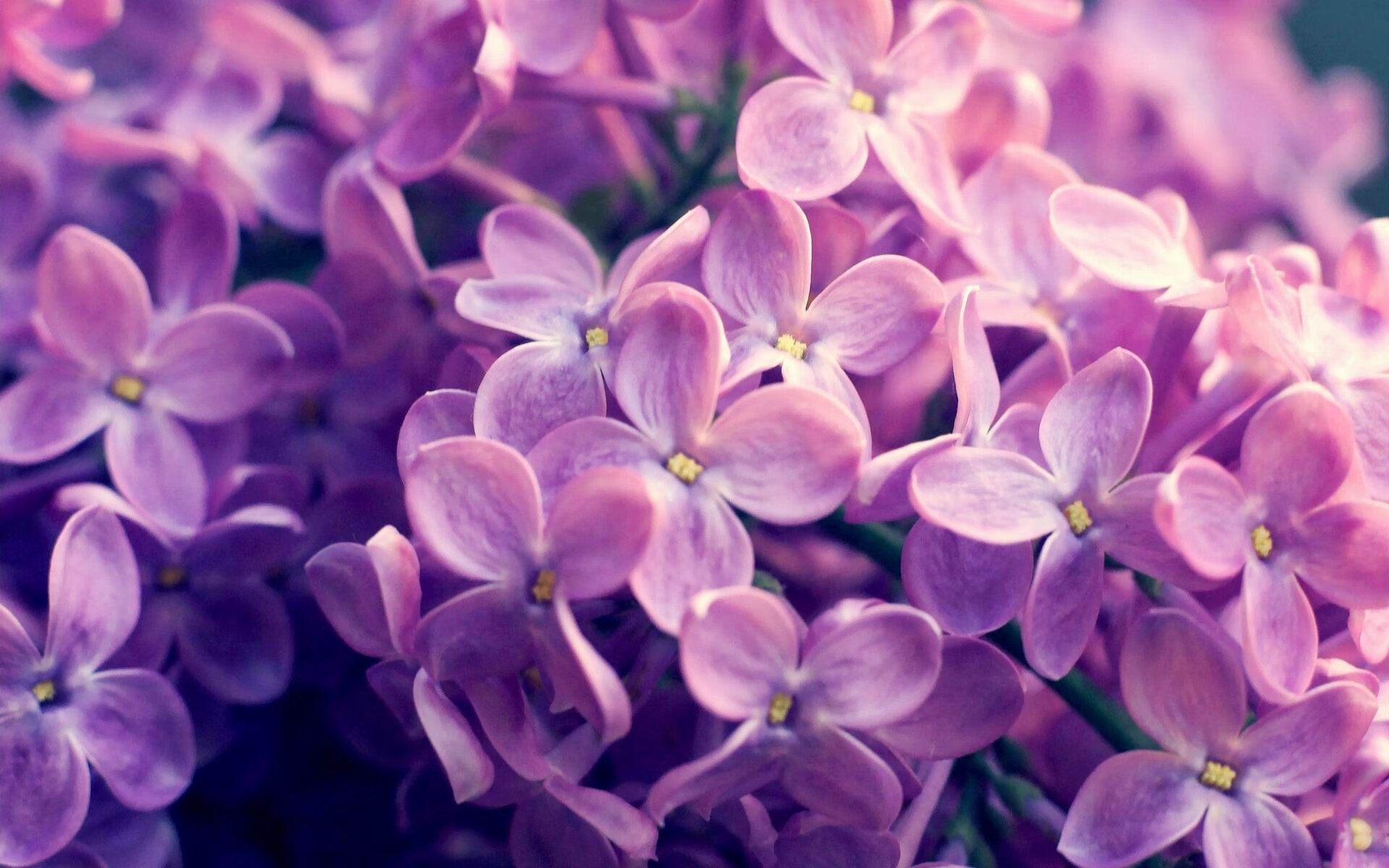 范奥特尔戴克蝉联国家队主力位置，范戴克是什么类型的后卫