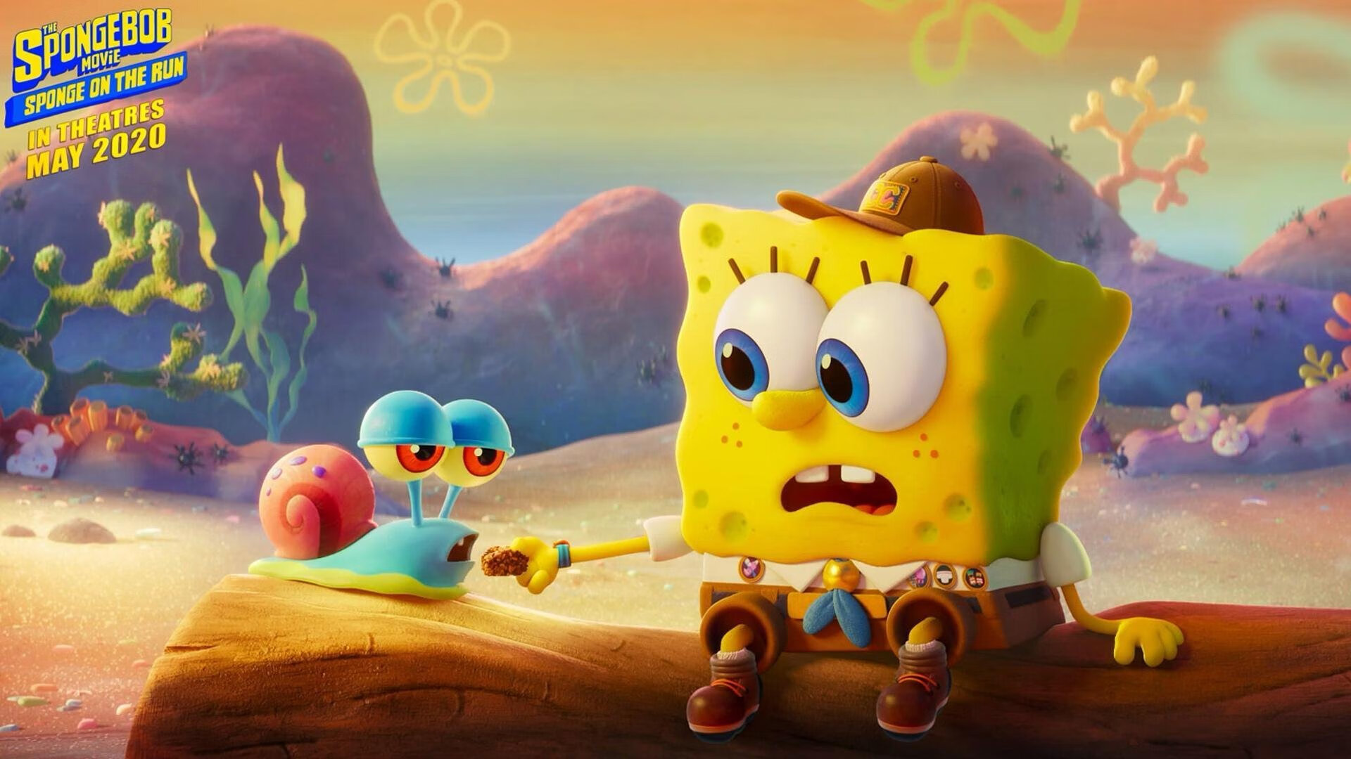 谢佩玲跳台表现引发网友热议，谢佩樨 公示