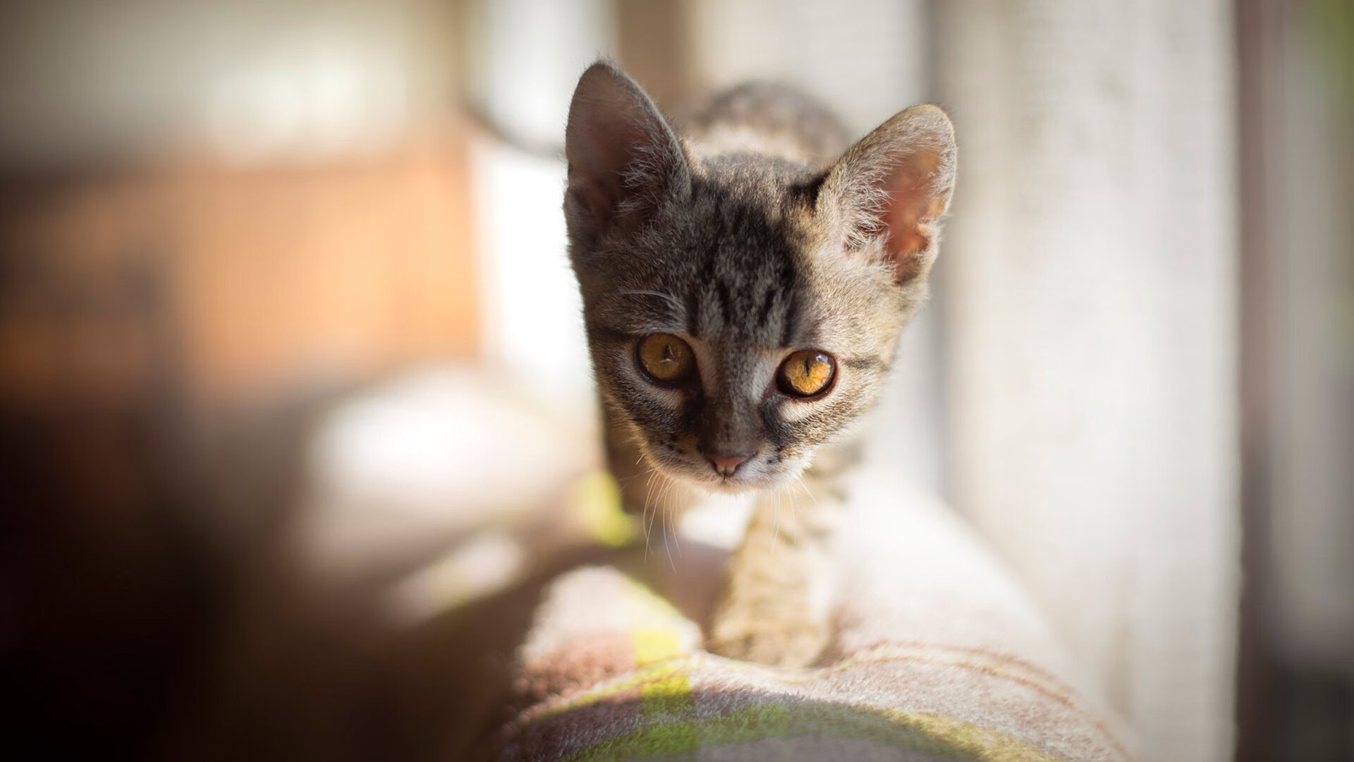 谷爱凌晒出冬训vlog分享训练日常，谷爱凌2020年采访视频