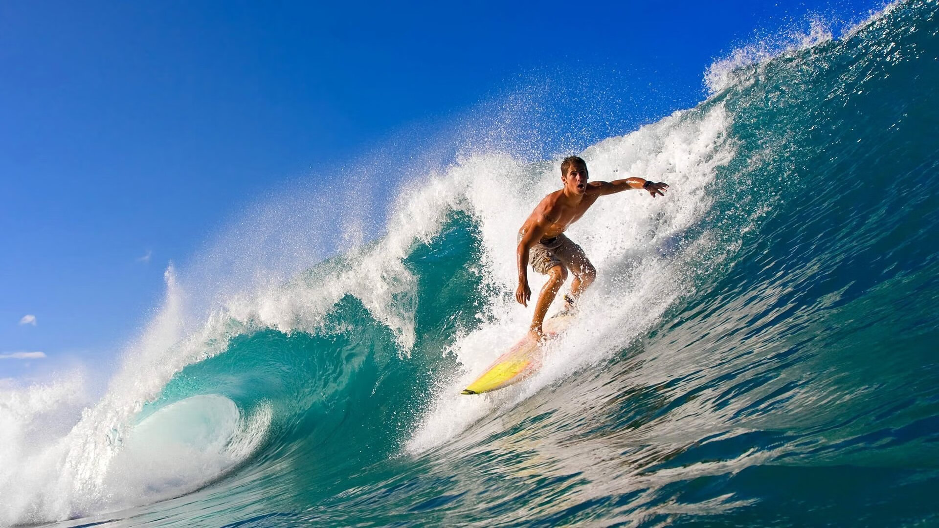 失利分析:哪些因素导致失败?,什么是失利